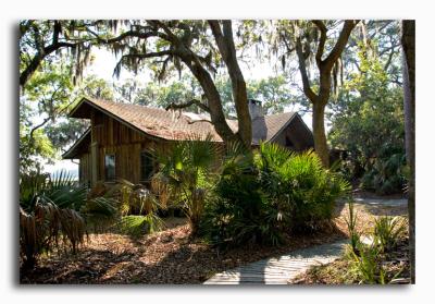 The Cedar House