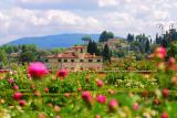 Bella Toscana ...