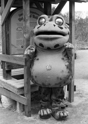 zbfrog.jpg