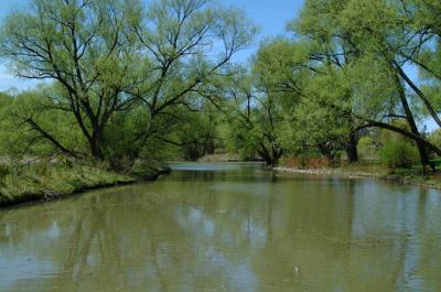 DSCF1785.jpg