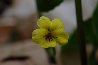 DSCF1869.jpg