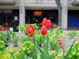 DSC03754.jpg