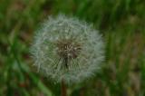 DSCF1865.jpg