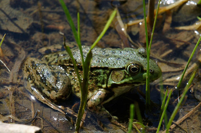 DSCF1849.jpg