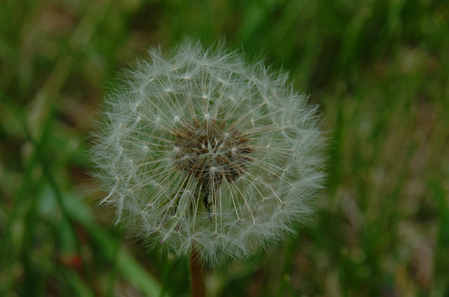 DSCF1865.jpg