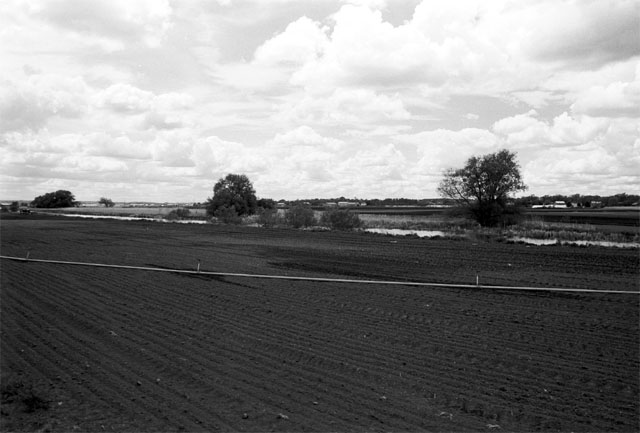 marsh