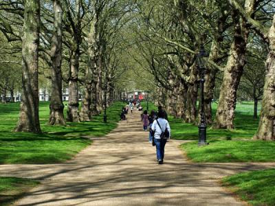 Path in Green Park