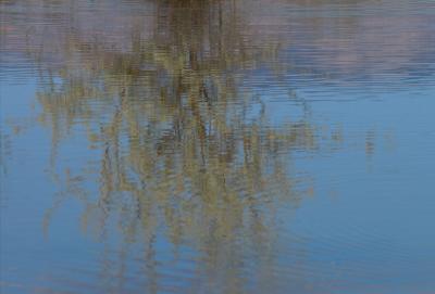 Ripples