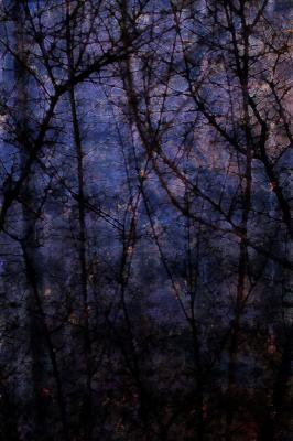 Synaptic Forest