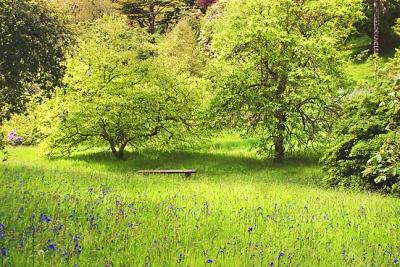 Garden-Bench.jpg