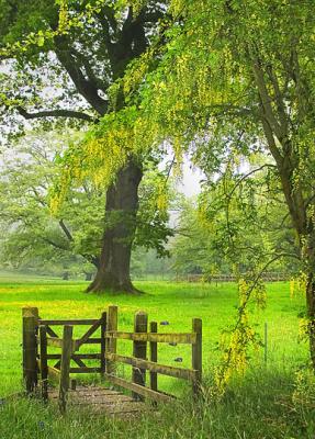 Cornwall-Garden.jpg
