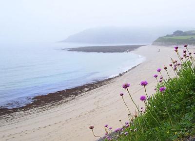 Falmouth-Beach-in-Fog.jpg