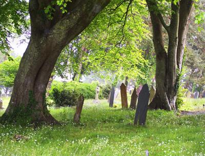 Falmouth-Cemetery-2.jpg