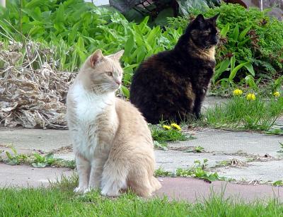 DSC03994.jpg
