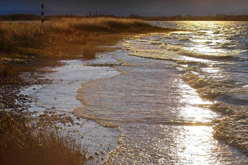 Evening at Lake Ellesmere
