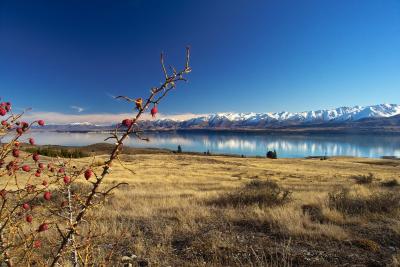 Lake Pukaki