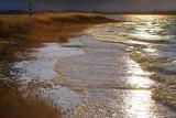 Evening at Lake Ellesmere