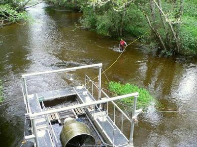 P1020576 Caroline approaching smolt trap.jpg