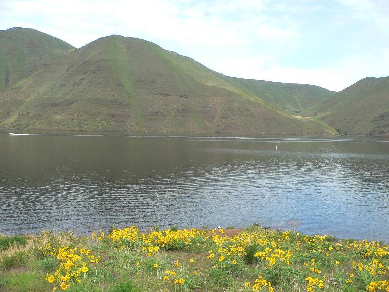 P1020471 Brownlee Reservoir on Snake River.JPG