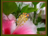 DSCN8744