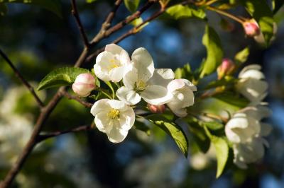 DSC_1722b.jpg