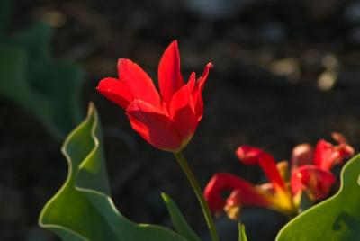 DSC_1772c.jpg