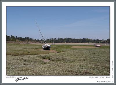 u26/pgordebeke/medium/43646955.CRW_9382_frame.jpg