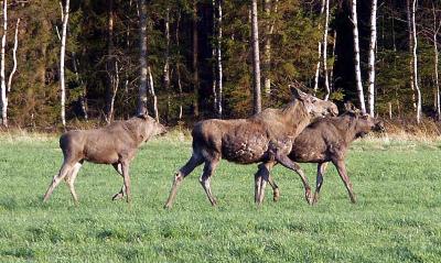 PICT0522.jpg