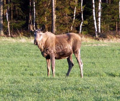 PICT0549.jpg