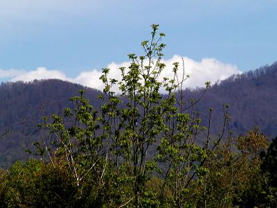 Clouds over the Smoky Mountains