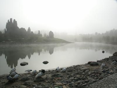 Foggy Dawn in Xing Ming Hu.jpg