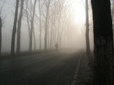Man in the mist.jpg