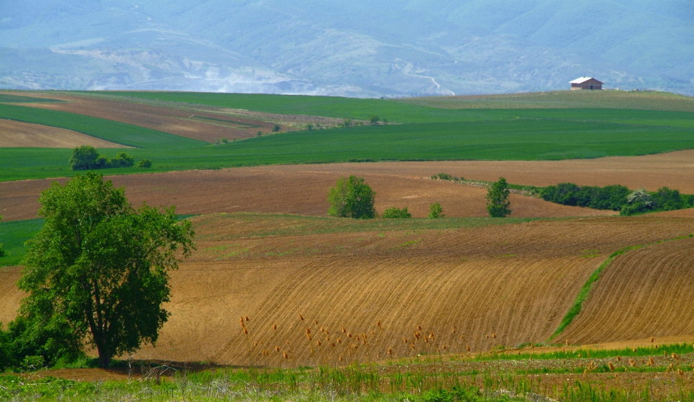 Farm house on the terrain.jpg