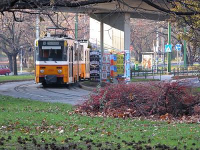 City tram on Dbrentei Tr