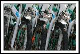 Fête de l'ohLes vélos