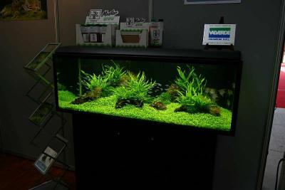 Tropica - Zoomark 2005