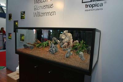 Tropica - Zoomark 2005 - Workshop tank Day 3