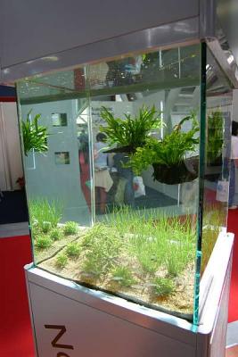 Tropica - Zoomark 2005 - The new plants