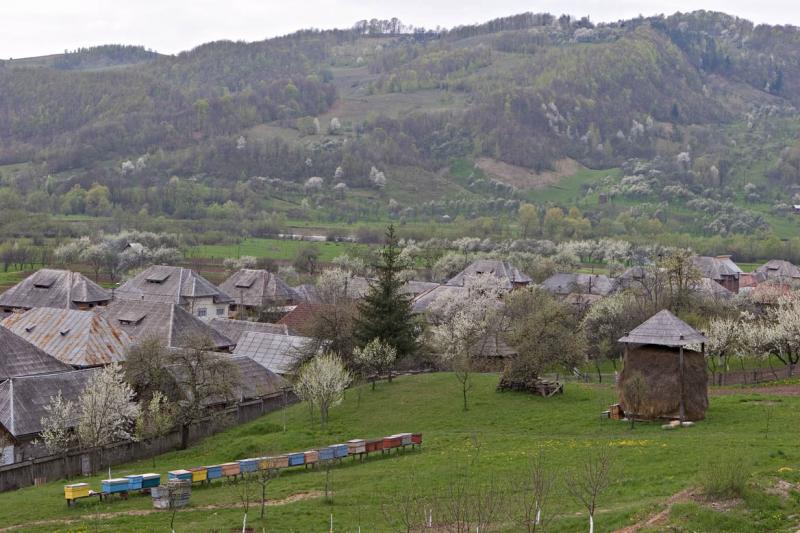 Birsana Monastery: Beehives & Haystack