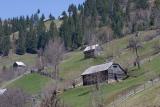 Transylvanian Hillside