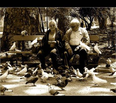 13.05.2005 ... Feeding the pigeons ...