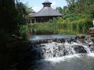 PICT6212.JPG
