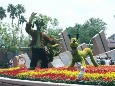 PICT6139.JPG