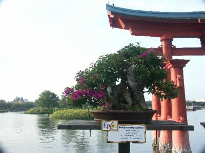 PICT5994.JPG