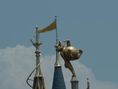 PICT6109.JPG