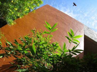 Pyramid, Scottsdale, Arizona, 2005