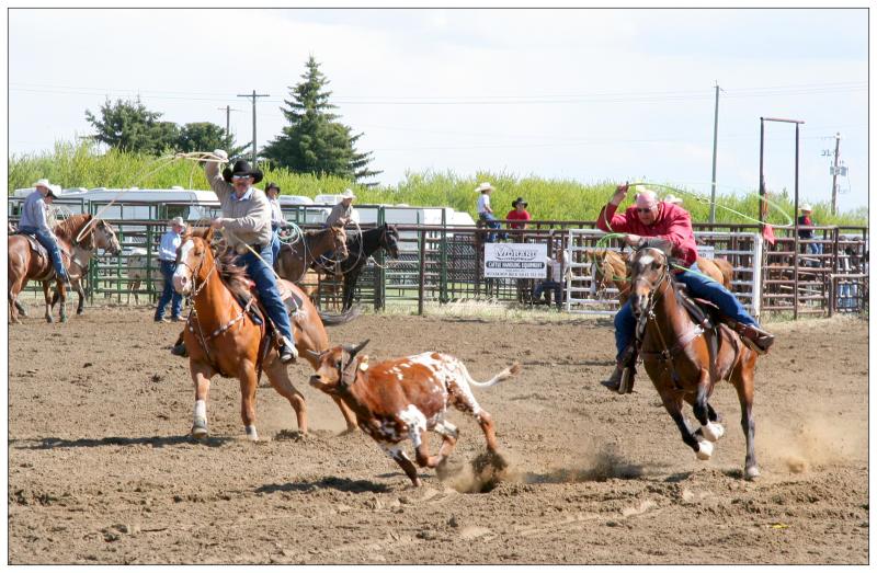 Calf Roping