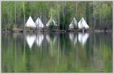 Tee Pees