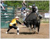 Bull Riding One