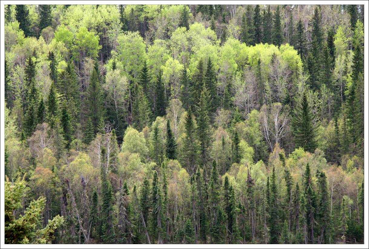 The Colors of Spring